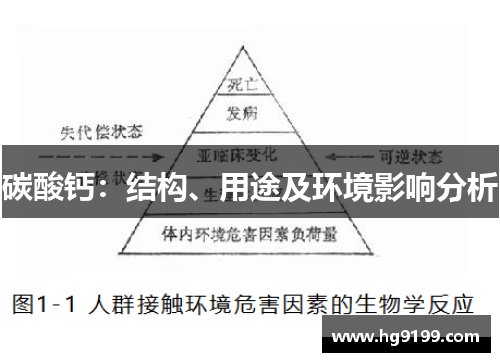 碳酸钙：结构、用途及环境影响分析