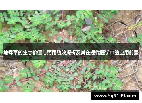 地锦草的生态价值与药用功效探析及其在现代医学中的应用前景