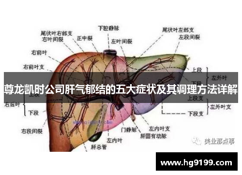 尊龙凯时公司肝气郁结的五大症状及其调理方法详解